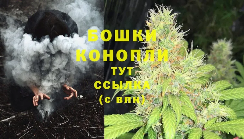 Канабис OG Kush  Дегтярск 